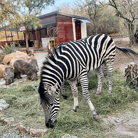 Kholiwe On Kruger Lodge & Safaris Marloth Park Εξωτερικό φωτογραφία