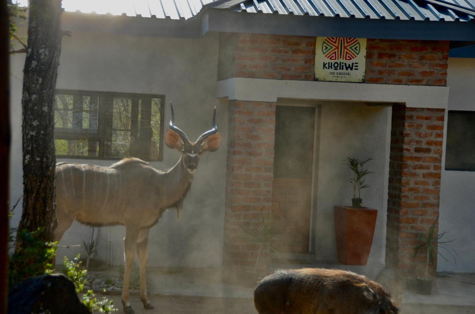 Kholiwe On Kruger Lodge & Safaris Marloth Park Εξωτερικό φωτογραφία