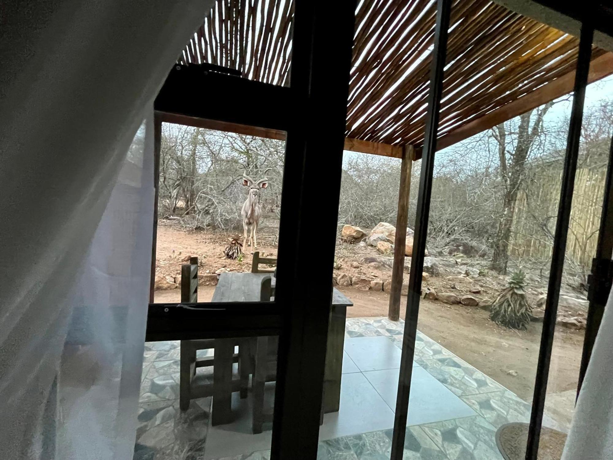 Kholiwe On Kruger Lodge & Safaris Marloth Park Εξωτερικό φωτογραφία