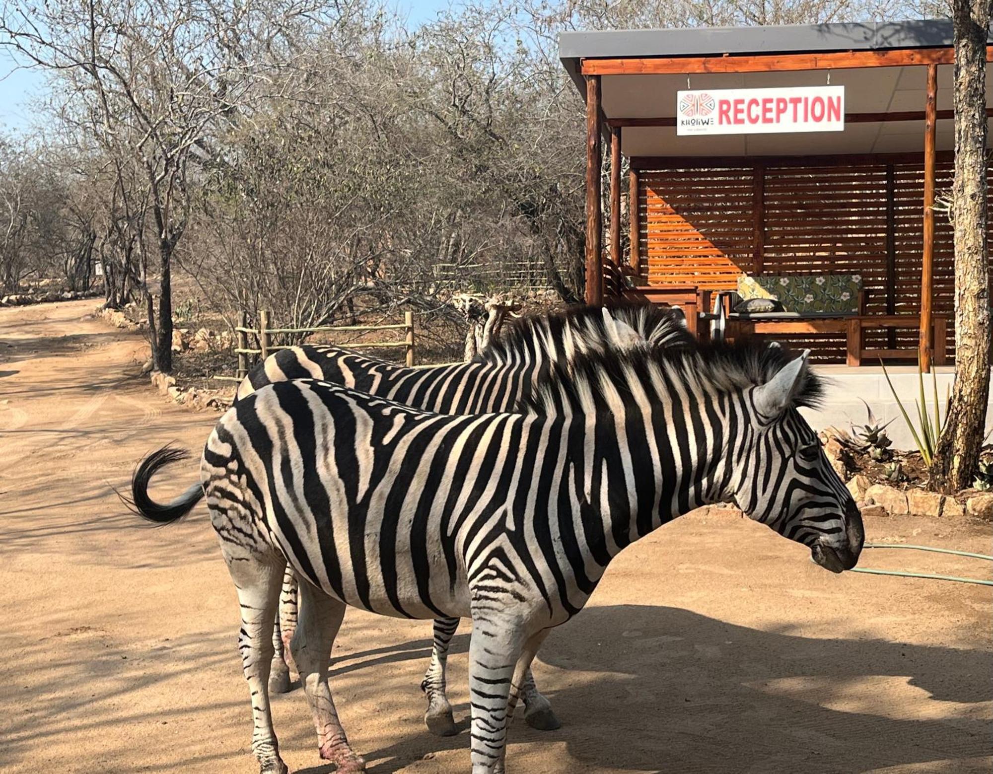 Kholiwe On Kruger Lodge & Safaris Marloth Park Εξωτερικό φωτογραφία