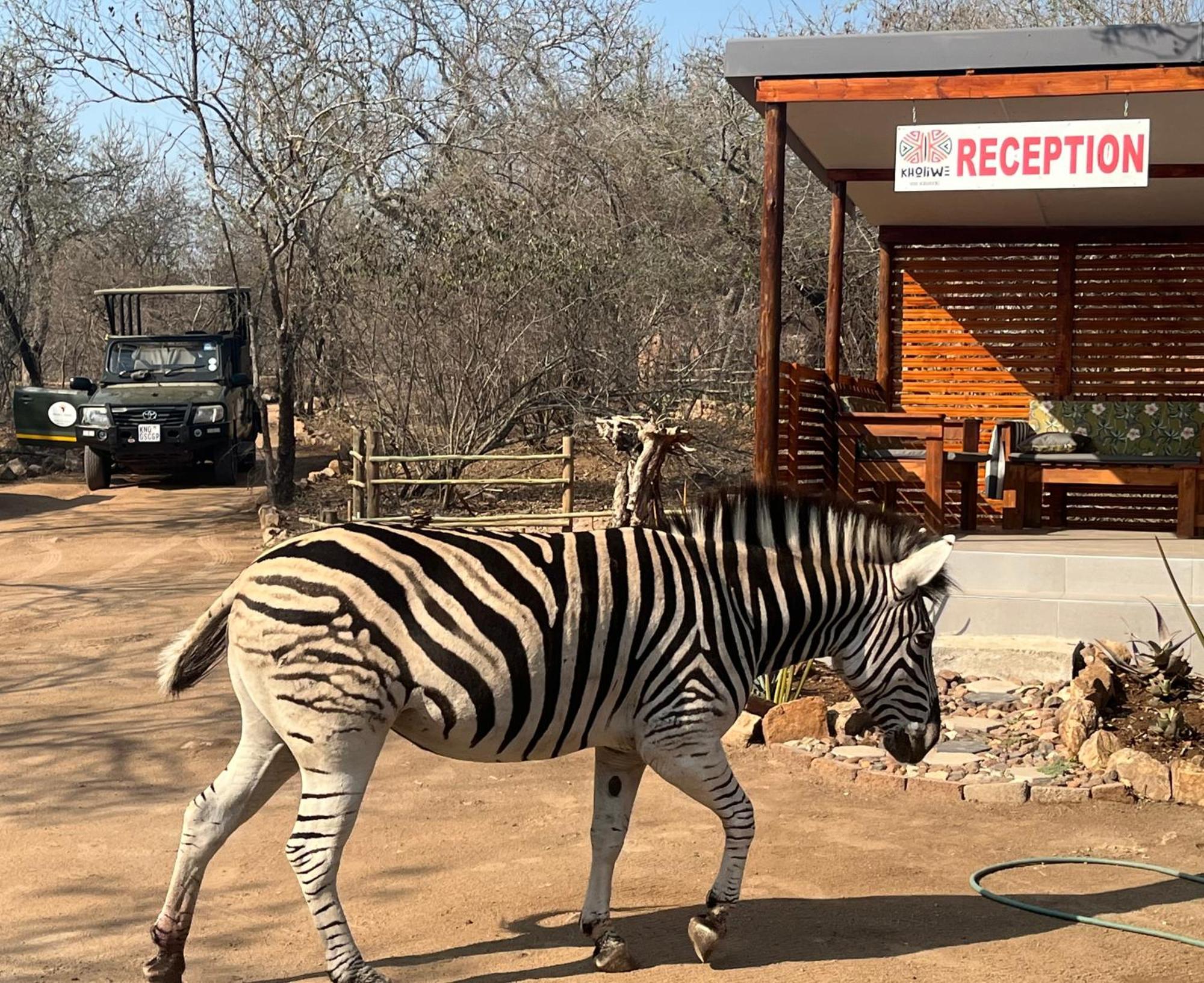 Kholiwe On Kruger Lodge & Safaris Marloth Park Εξωτερικό φωτογραφία
