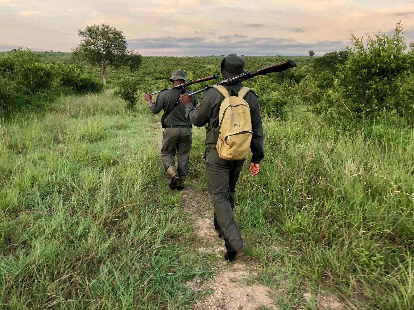Kholiwe On Kruger Lodge & Safaris Marloth Park Εξωτερικό φωτογραφία